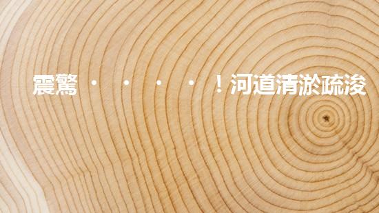 震驚！河道清淤疏浚工程方案范本？好用嗎？